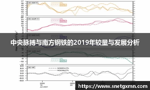 中央脉搏与南方钢铁的2019年较量与发展分析